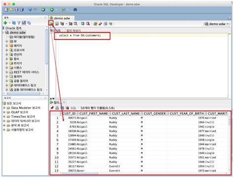 Image result for Oracle SQL Developer Change Password