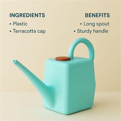 2 Litre Heavy-Duty Plastic Gardening Watering Can with Long Spout ...