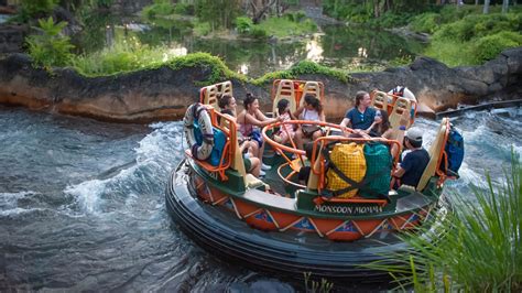 Best Rides At Disney World Animal Kingdom at Alannah Donovan blog