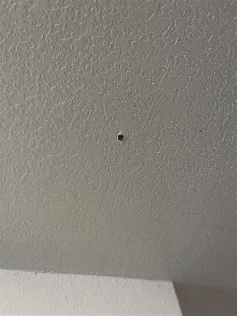 Any thoughts on these holes in my walls/ceiling : r/Termites