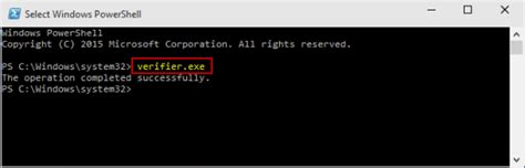 Image result for Windows Driver Verifier