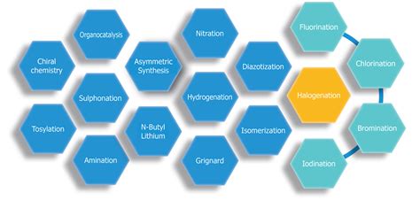 Pharmaceutical Raw Materials/Chemicals - PHARMIKA INDIA PVT LTD.
