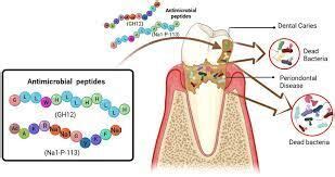 Adjunctive Antimicrobial peptide clinically effective for stage III ...