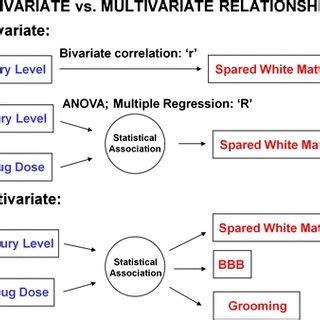 Image result for Statistical Methods of Variation