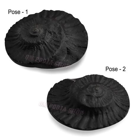 Buy Shri Narayan Vishnu Shaligram Stone online