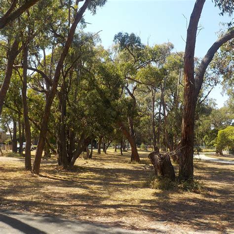 F J C ROGERS RESERVE - All You Need to Know BEFORE You Go 2026 (with ...