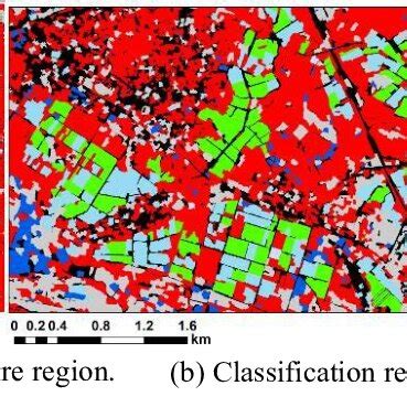 Image Classification in Remote Sensing 的图像结果