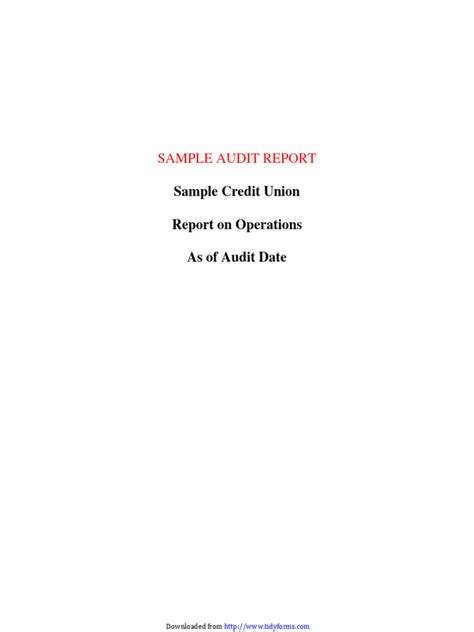Image result for Audit Report Examples