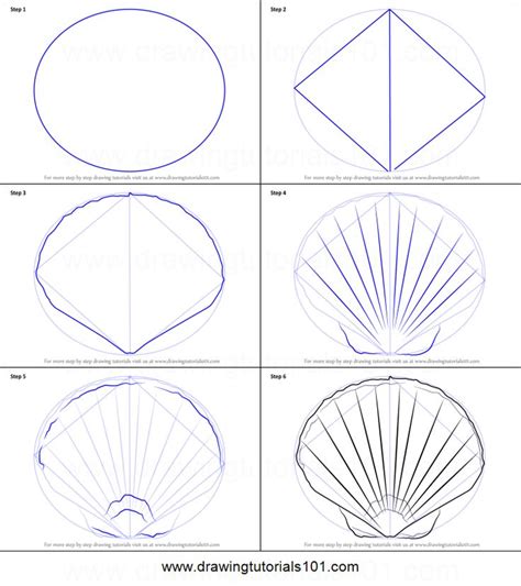 Seashell Drawing Tutorial 的图像结果