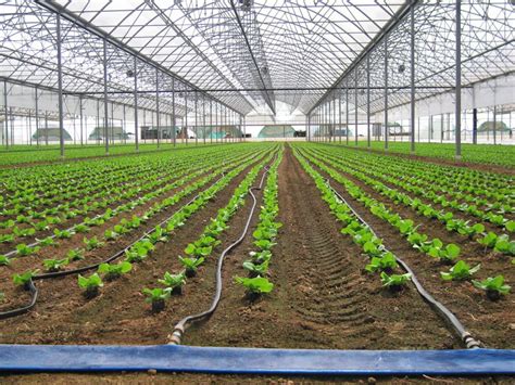 400 Plants Green Vegetable Drip irrigation package - Drip Irrigation BD Ltd. (DIBL)