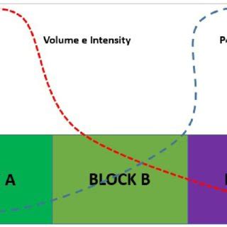 Image result for Periodization Model Examples