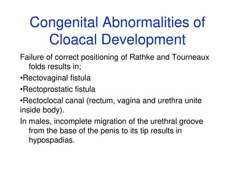 Image result for Rectangular Small Continer Box