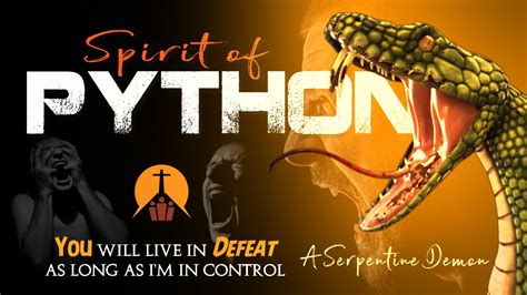 Image result for Spirit of Python Bible