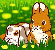 Image result for Cute Cartoon Baby Bunny