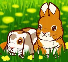 Image result for Easy Cartoon Bunny Drawing Kit