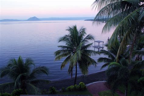 Tropical Leaf Patterns 的图像结果