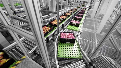 Food Distribution Systems 的图像结果