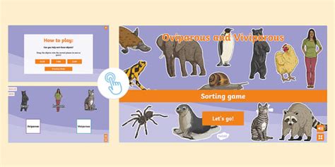 Difference Between Oviparous and Viviparous (teacher made)