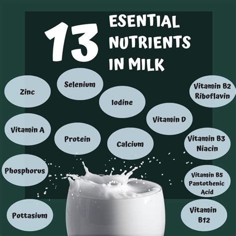 The Primary Nutrients In Milk And What They Do For Your Body