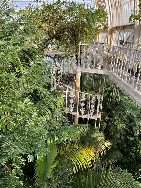 Show and Tell | Alveus Sanctuary