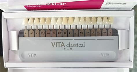 Vident Vid Vita Classical Shade Guide (Shades A1 - D4) : Amazon.in ...