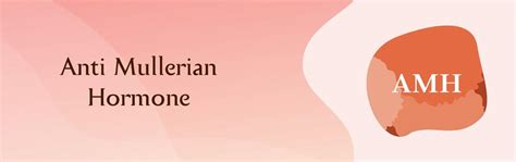 What is Follicle Stimulating Hormone? Know FSH Levels Test, Uses ...