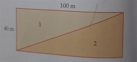 Lakshmi divided her rectangular field into two plots, as shown. Find ...