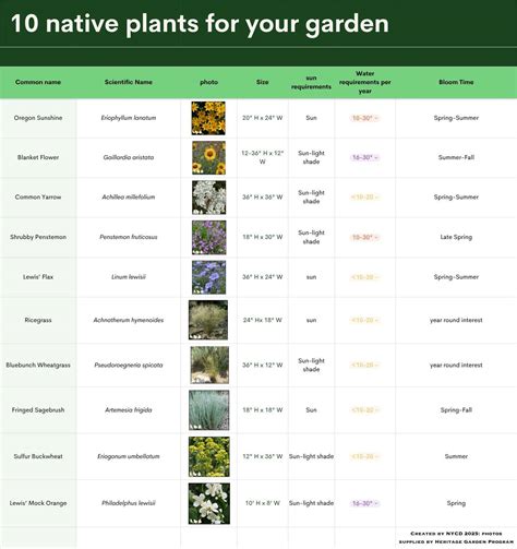 Water Efficiency - Nob Hill Water