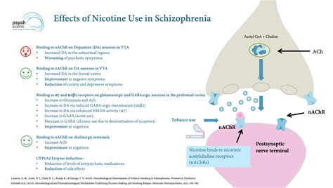 Schizophrenia and Smoking: Epidemiology, Mechanisms, and Cessation
