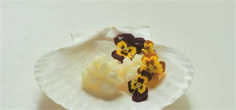 DIY: Make Your Own Kefir - Kiku Corner
