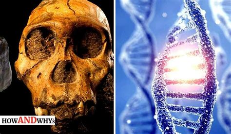 Image result for Alien DNA Found
