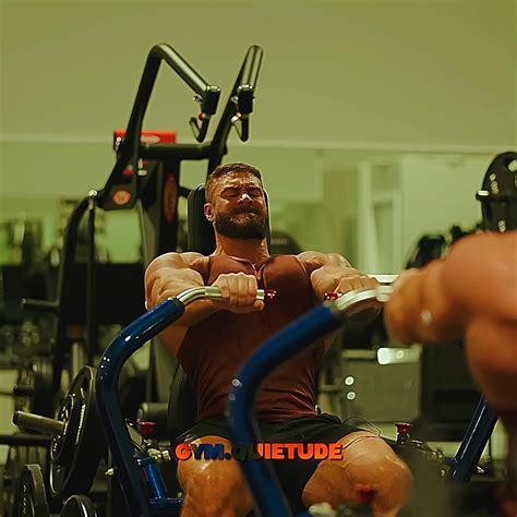 Sam Sulek Gym 的图像结果