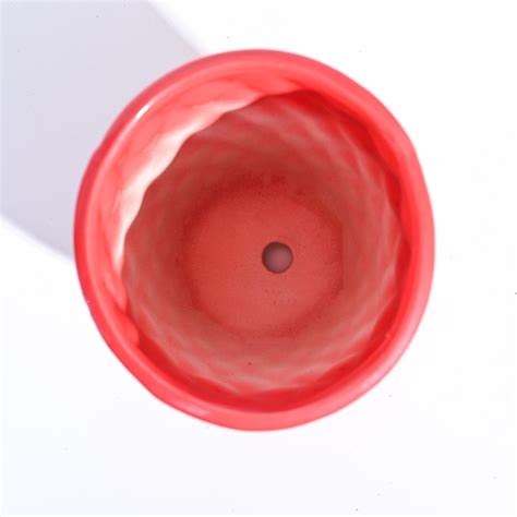 Argyle Ceramic Pot (6.2 Inch Diameter) – Ugaoo