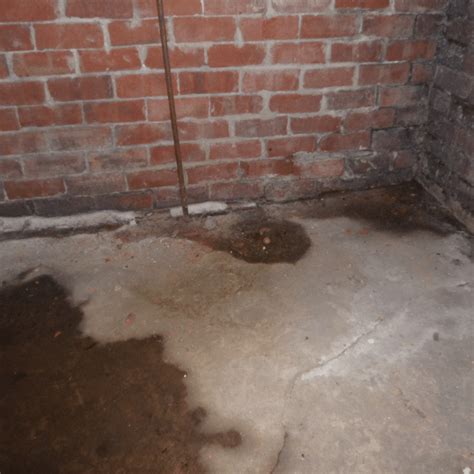 How To Stop Water From Coming Through Cracks In Basement Floor at ...