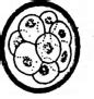 In which of the following embryonic stages does the implantation take ...