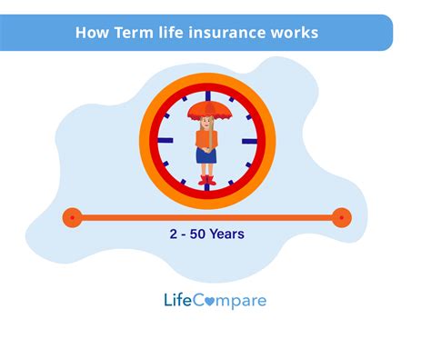 Define Term Life Insurance 的图像结果