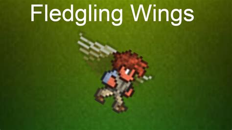 Terraria How to Get Fledgling Wings | 1.4.2.3 Only - YouTube