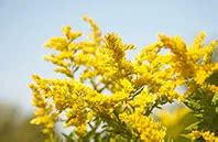 Nebraska Renters Insurance Coverage | Farmers Insurance®