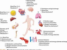 Image result for physiological