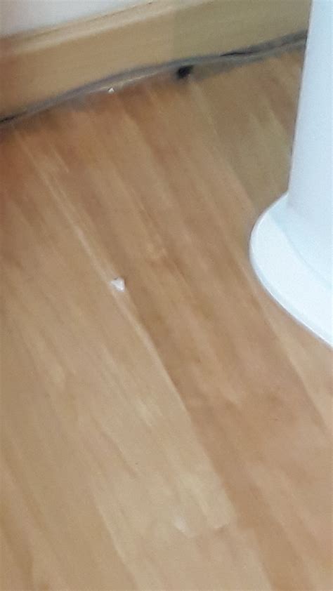 아직까지 대치중 - EA FC 온라인 - 에펨코리아