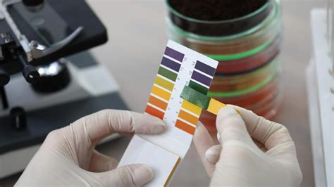 Difference Between Acid and Base