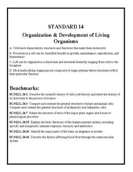 Biology Resource Central Teaching Resources | Teachers Pay Teachers