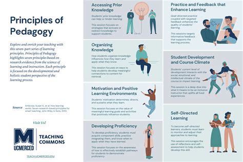 Pedagogy Example 的图像结果