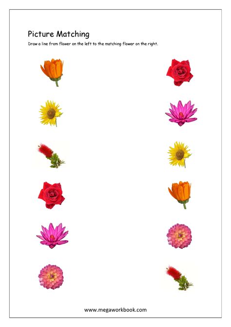 Image result for Flower Matching Game Printable