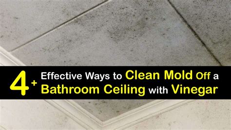 Bathroom Ceiling Cleaning - Getting Mold Off Ceilings with Vinegar