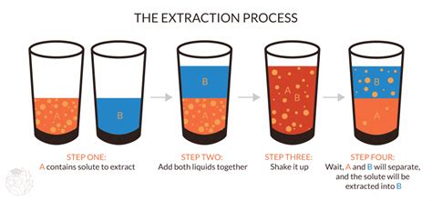 Process of Extraction 的图像结果