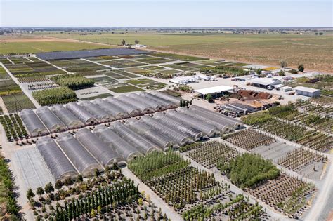 Devil Mountain Wholesale Nursery - Clements Inventory of CA Native ...