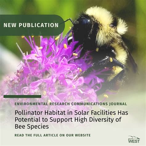 "Pollinator Habitat in Solar Facilities Supports Diverse Bee Species ...