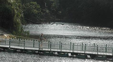 AMAZON GEO JUNGLE LODGE (Manaus) - Lodge Reviews & Photos - Tripadvisor