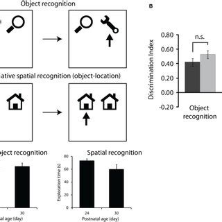 Image result for Human Memory and Structured Objects